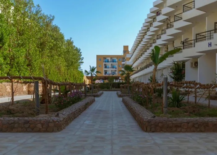 Fox House Resort Hurgada