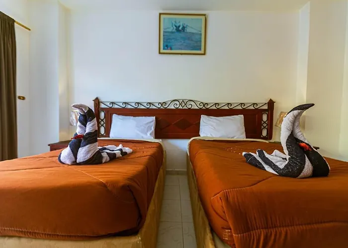 Fox House * Hurgada