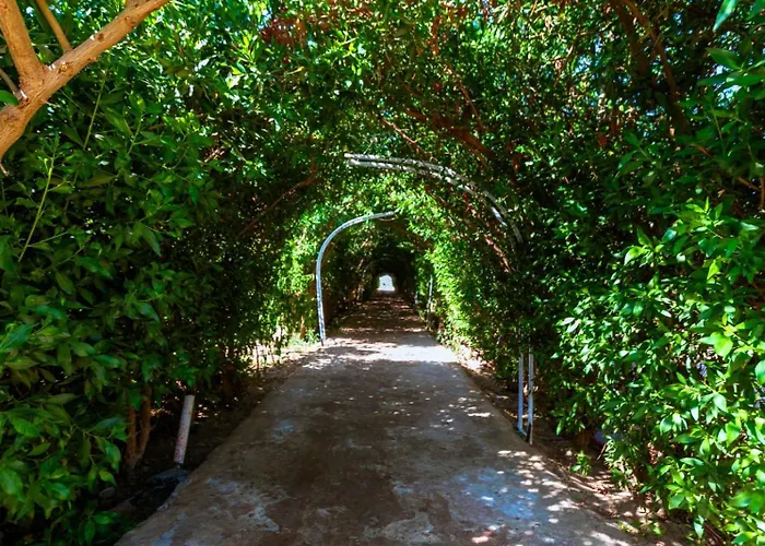 Fox House * Hurgada