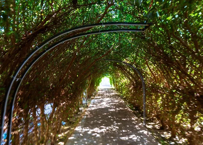 Fox House Resort Hurgada